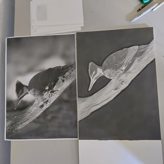 Why Slow Drawing Wins – The Hidden Power of Patience in Art