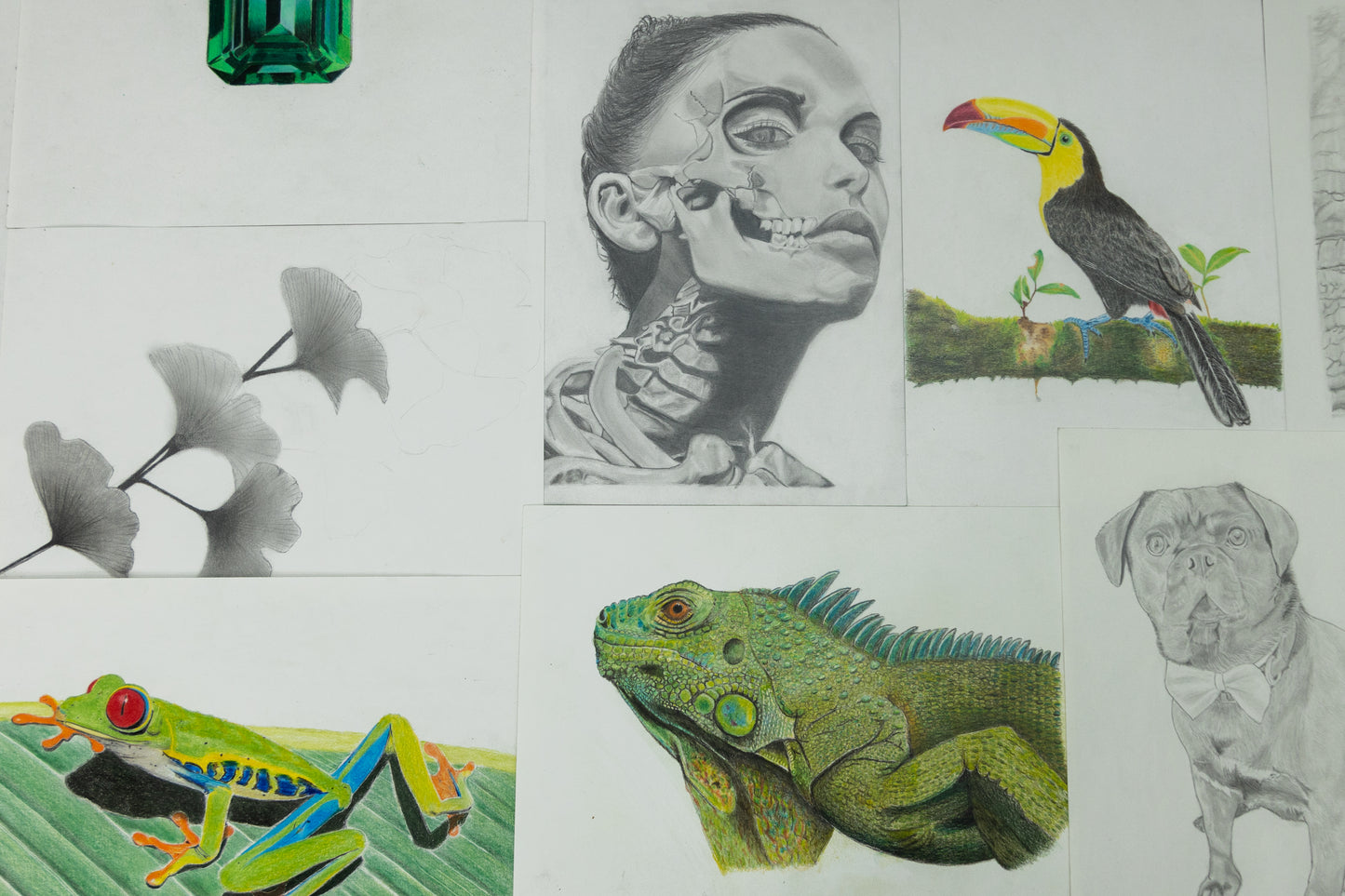 One-on-One Drawing Program