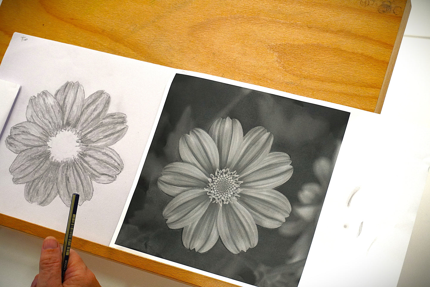 Adult Drawing Classes: Term 4, 2025