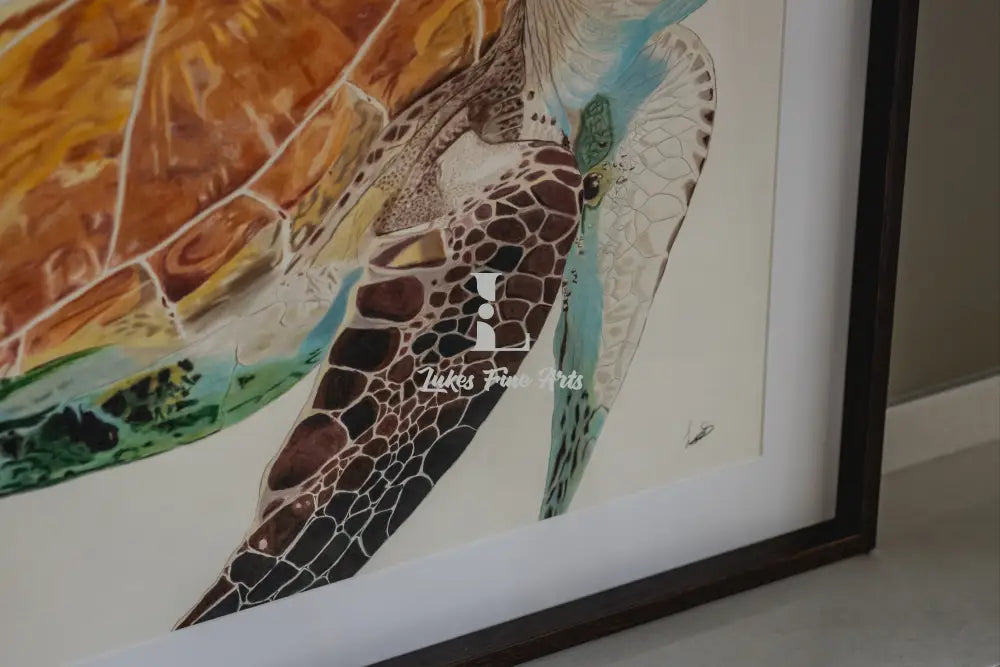 Beyond the waves, a gentle soul: A colorful portrait showcases the captivating beauty of a sea turtle, its expressive eyes inviting you to connect with the wonders of the underwater world.