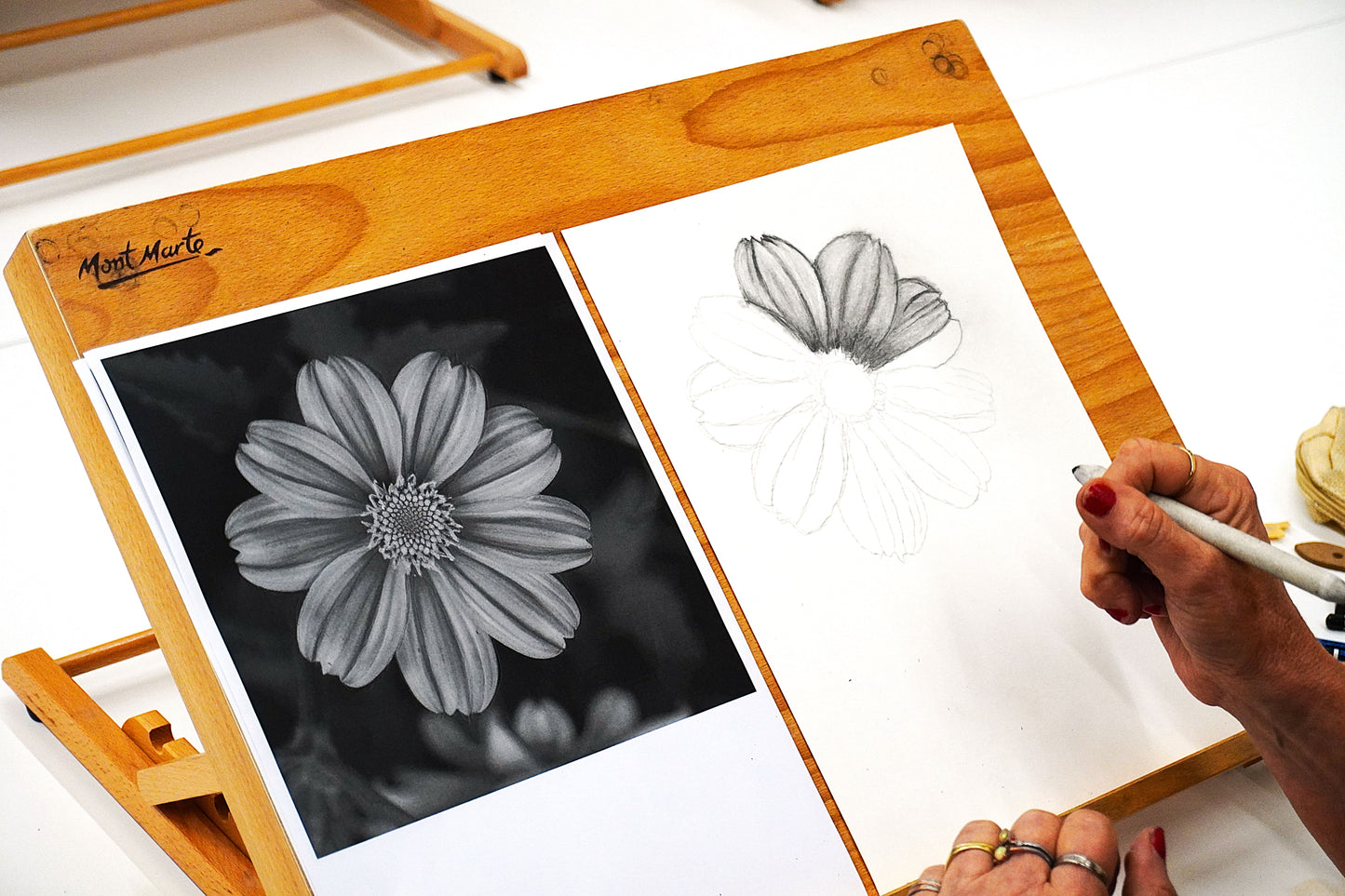 Adult (Beginner) Drawing Classes: Term 1, 2026