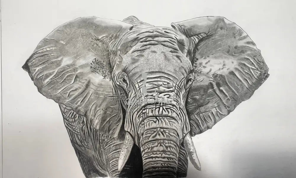 Colossal grace etched in graphite: A breathtaking print captures the timeless majesty of an elephant, its wrinkled hide and wise eyes conveying the weight of ancient memories.
