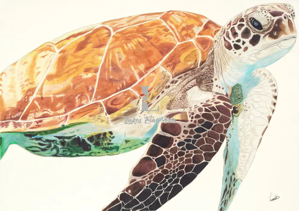 Embark on an undersea odyssey: A colorful portrait invites you to dive into the mesmerizing world of the sea turtle, its patterned shell a kaleidoscope of coral reefs and its soulful gaze a call to protect ocean wonders.