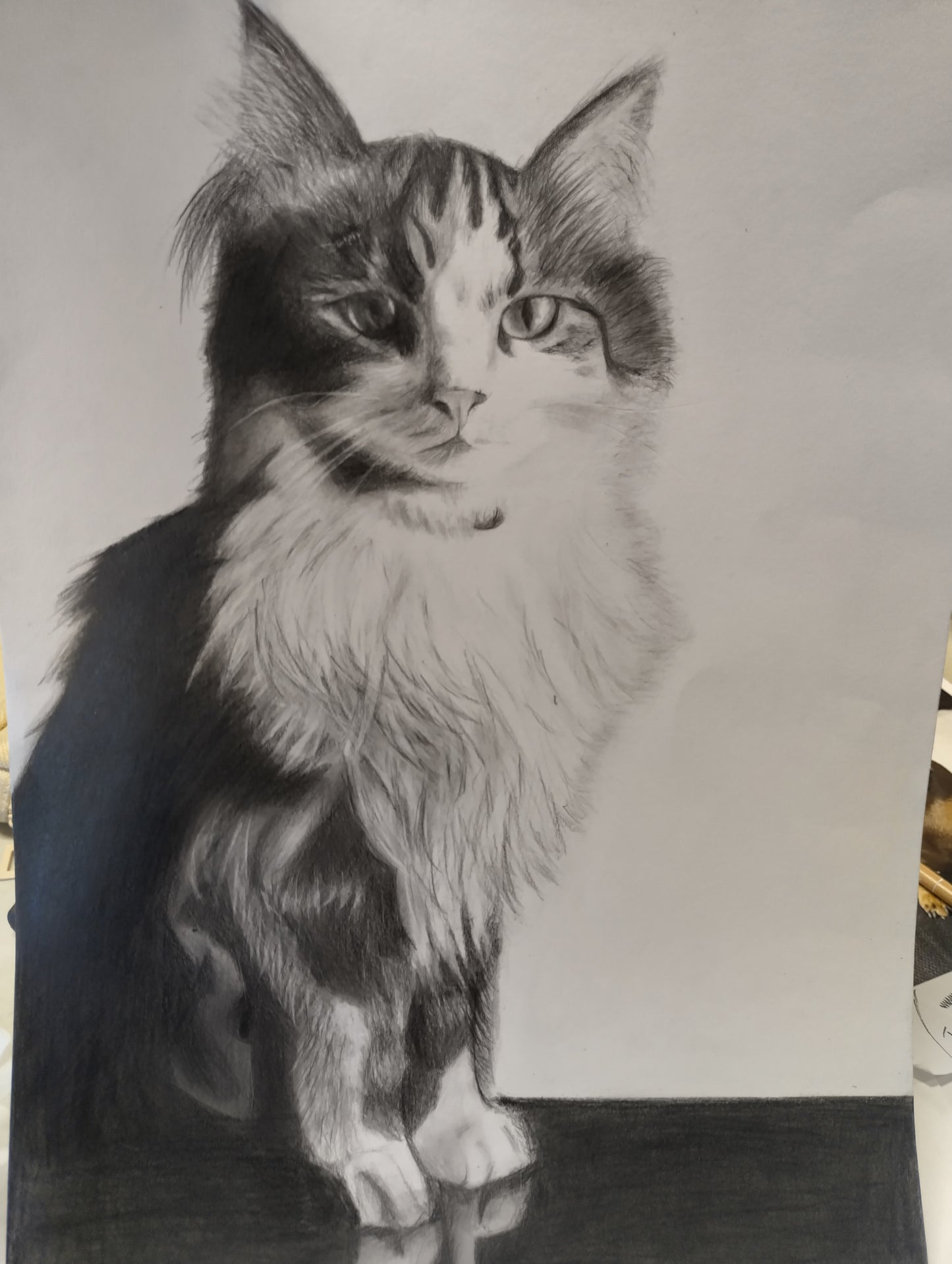 Children's Drawing Program (Term 1 2026)