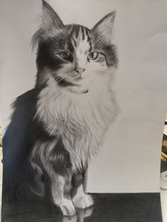 Children's Drawing Program (Term 1 2026)